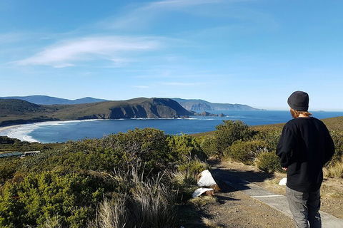 4-Day Fabulous Tasmania Tour: Wineglass Bay, Port Arthur, Devils & Bruny Island - Go Out 0