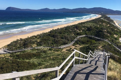 4-Day Fabulous Tasmania Tour: Wineglass Bay, Port Arthur, Devils & Bruny Island - Go Out 5