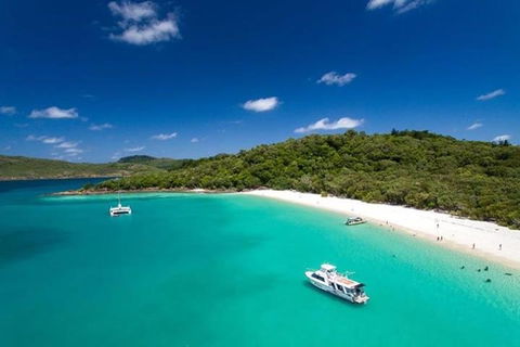 Whitehaven Beach And Hill Inlet | Awesome Beach BBQ | Family Friendly - Pubs and Clubs 3