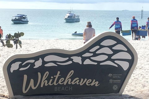 Whitehaven Beach And Hill Inlet | Awesome Beach BBQ | Family Friendly - Pubs and Clubs 5
