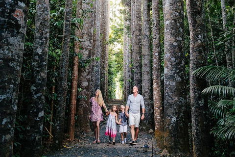 The Original Day Tour To Paronella Park, Lake Barrine And Millaa Millaa Falls - Go Out 1