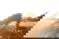 Small Group - 12 Apostles Otways  Great Ocean Road Day Tour from Melbourne