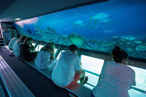 Great Barrier Reef Day Cruise To Reefworld - Pubs and Clubs 0
