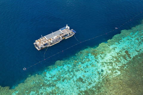 Great Barrier Reef Day Cruise To Reefworld - Pubs and Clubs 2