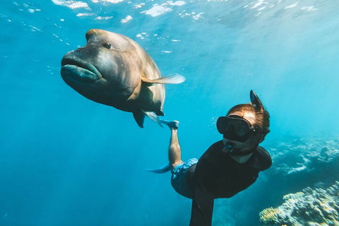 Great Barrier Reef Day Cruise To Reefworld - Pubs and Clubs 3