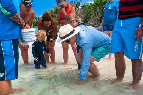 Whitehaven Beach And Hamilton Island Cruise - Pubs and Clubs 1