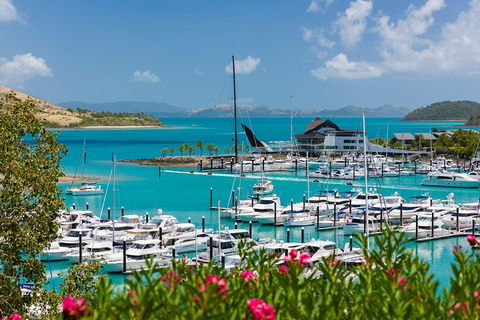 Whitehaven Beach And Hamilton Island Cruise - Pubs and Clubs 3