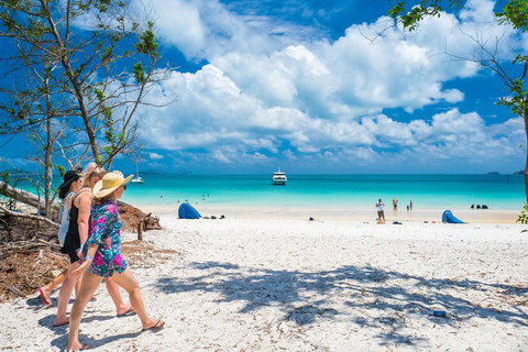 Whitehaven Beach Half-Day Cruises - Pubs and Clubs 1