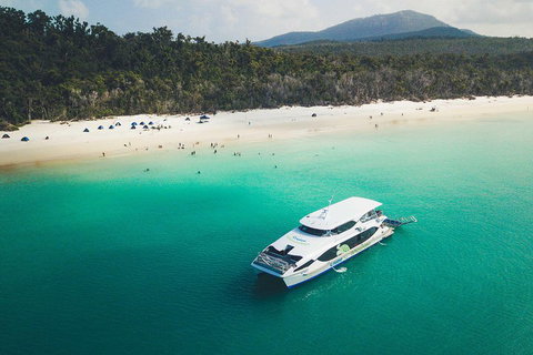 Whitehaven Beach Half-Day Cruises - Pubs and Clubs 2