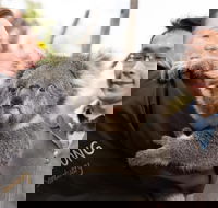 Bonorong Wildlife Park and Richmond Afternoon Tour from Hobart - Pubs and Clubs