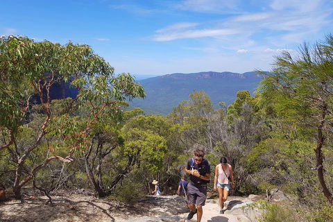 Blue Mountains Unique Small-Group Day Adventure With BBQ Lunch - Go Out 3