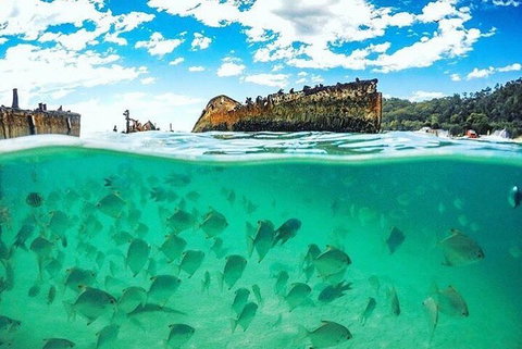 Adventure Moreton Island Day Pass - Go Out 4