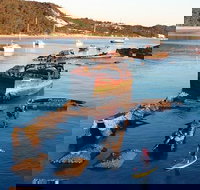 Adventure Moreton Island Wrecks Adventure Package - Go Out