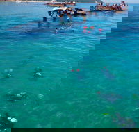 Adventure Moreton Island Scuba Dive Tour - Go Out