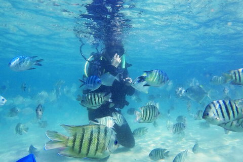 Adventure Moreton Island Scuba Dive Tour - Pubs and Clubs 1