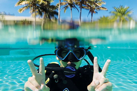 Adventure Moreton Island Scuba Dive Tour - Pubs and Clubs 2