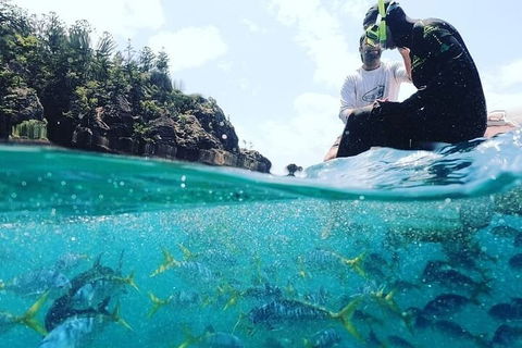 2 Night Small Group Whitsundays Sailing Adventure Aboard Mandrake - Pubs and Clubs 5