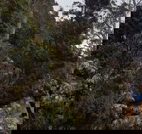 kunanyi / Mt. Wellington Guided Hiking Tour - Pubs and Clubs