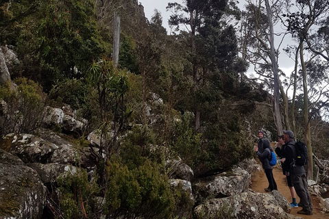 Kunanyi / Mt. Wellington Guided Hiking Tour - Pubs and Clubs 0