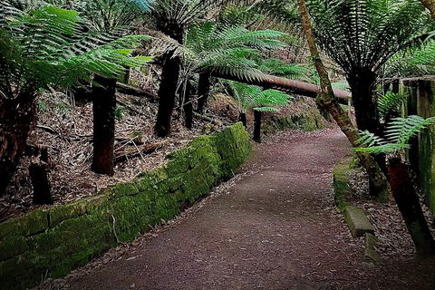 Kunanyi / Mt. Wellington Guided Hiking Tour - Pubs and Clubs 1