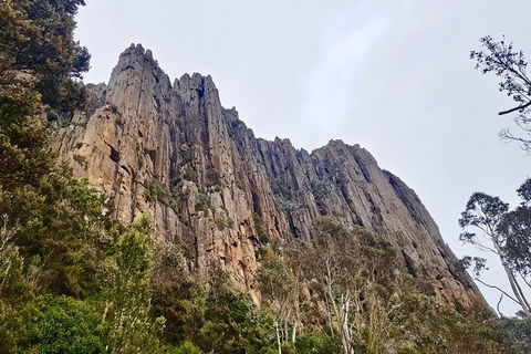 Kunanyi / Mt. Wellington Guided Hiking Tour - Pubs and Clubs 4