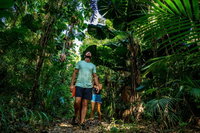 Full Day Daintree Rainforest and Mossman Gorge Tour, Port Douglas