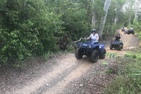 Cairns ATV Adventure Tour And Morning Train - Pubs and Clubs 0