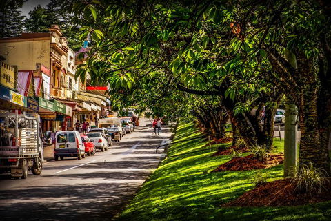 Fully Inclusive Blue Mountains Private Tour Inc Scenic World & Featherdale Entry - Pubs and Clubs 0