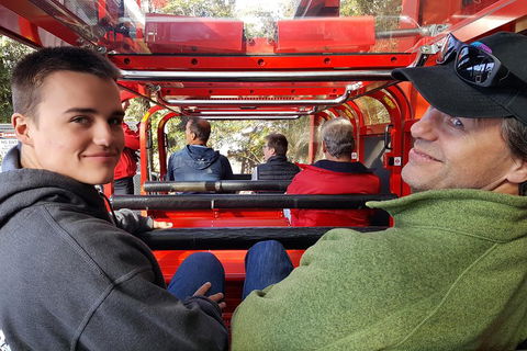 Fully Inclusive Blue Mountains Private Tour Inc Scenic World & Featherdale Entry - Pubs and Clubs 1