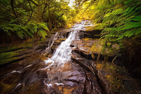 Fully Inclusive Blue Mountains Private Tour Inc Scenic World & Featherdale Entry - Pubs and Clubs 3
