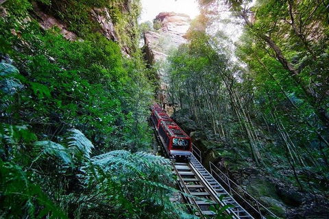 Fully Inclusive Blue Mountains Private Tour Inc Scenic World & Featherdale Entry - Pubs and Clubs 4