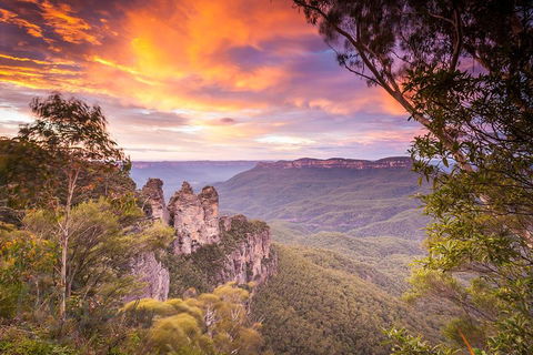 Fully Inclusive Blue Mountains Private Tour Inc Scenic World & Featherdale Entry - Pubs and Clubs 5