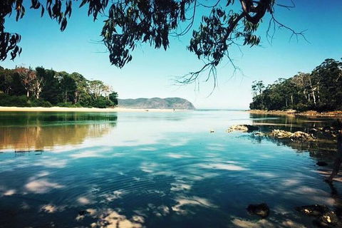 Full-Day Guided Bruny Island Tour From Hobart - Pubs and Clubs 1
