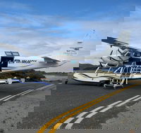 Full Day Tour by Seaplane to Rottnest Island Small Group Trip - Pubs and Clubs