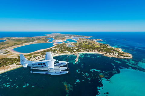 Full Day Tour By Seaplane To Rottnest Island Small Group Trip - Pubs and Clubs 1