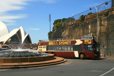Big Bus Sydney And Bondi Hop-on Hop-off Tour - Pubs and Clubs 3