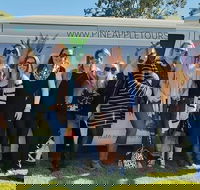 Full Day Mount Tamborine Winery Tour from Gold Coast - Pubs and Clubs