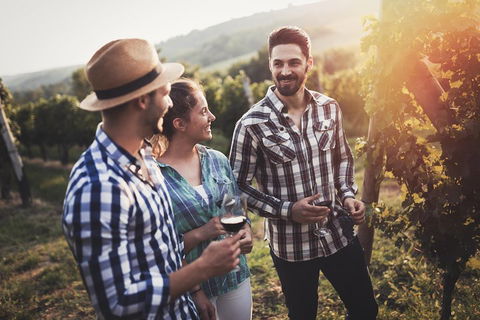 Full Day Mount Tamborine Winery Tour From Gold Coast - Go Out 5