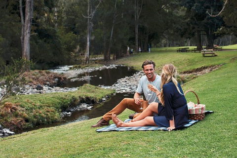 Mt Tamborine - Hinterland Wonders Self Guided - Pubs and Clubs 0