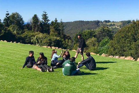 Mt Tamborine - Hinterland Wonders Self Guided - Pubs and Clubs 1