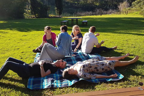 Mt Tamborine - Hinterland Wonders Self Guided - Pubs and Clubs 2