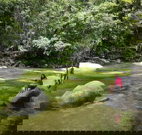 Daintree Dreaming Traditional Aboriginal Fishing from Cairns or Port Douglas - Pubs and Clubs