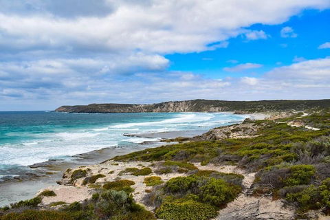 Kangaroo Island Luxury Small Group 'East End Explorer' Full Day Tour - Pubs and Clubs 0