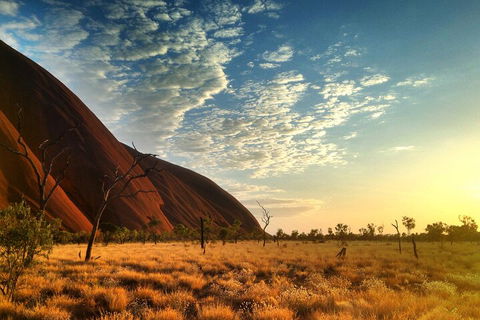 Highlights Of Uluru Including Sunrise And Breakfast - Pubs and Clubs 0