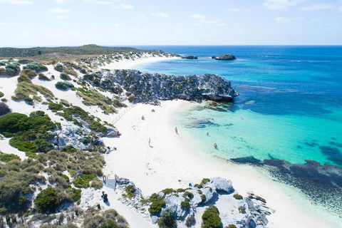 Discover Rottnest With Ferry & Bus Tour From Perth Or Fremantle - Pubs and Clubs 5