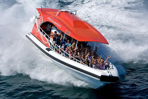 Adventure Rottnest Tour With Ferry & Adventure Cruise From Perth Or Fremantle - Pubs and Clubs 2