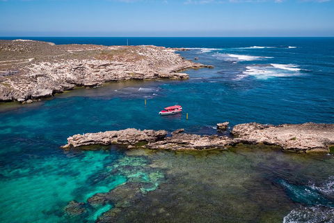 Adventure Rottnest Tour With Ferry & Adventure Cruise From Perth Or Fremantle - Pubs and Clubs 3