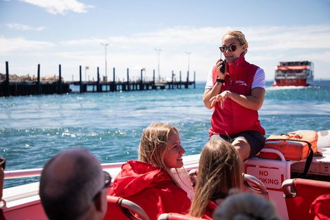 Adventure Rottnest Tour With Ferry & Adventure Cruise From Perth Or Fremantle - Pubs and Clubs 4