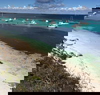 Experience Rottnest with Ferry  Bike Hire from Perth or Fremantle - Pubs and Clubs