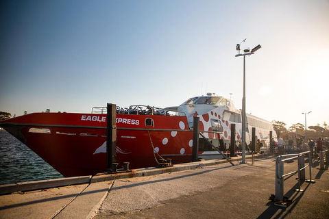 Rottnest Island Round-Trip Ferry From Perth Or Fremantle - Go Out 2